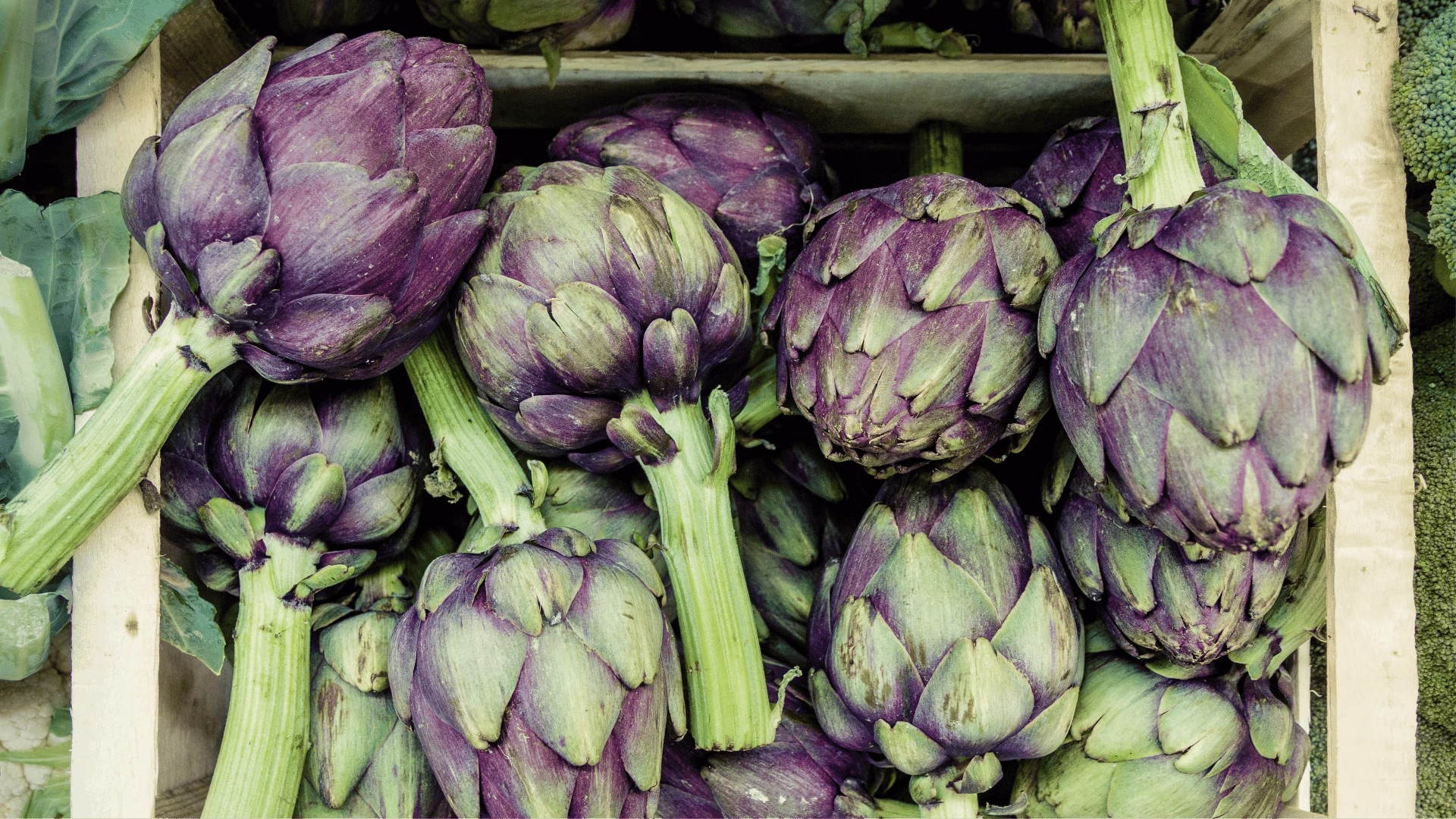 Para que servem os comprimidos de alcachofra?