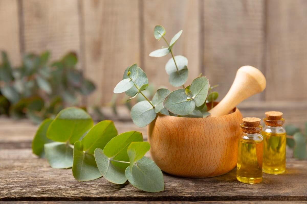 Para que servem os vapores de eucalipto?