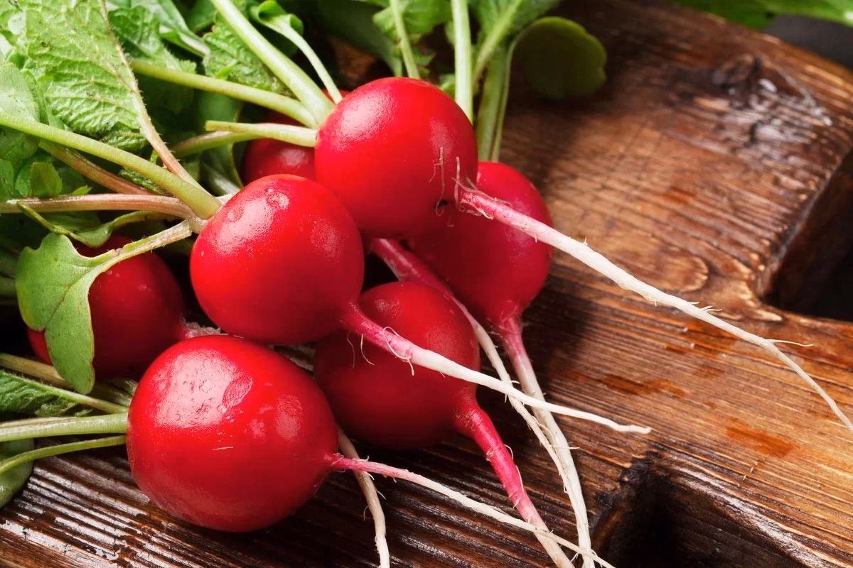 Para que serve a rama dos rabanetes?