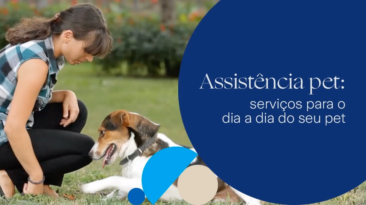 O que cobre um seguro animal?