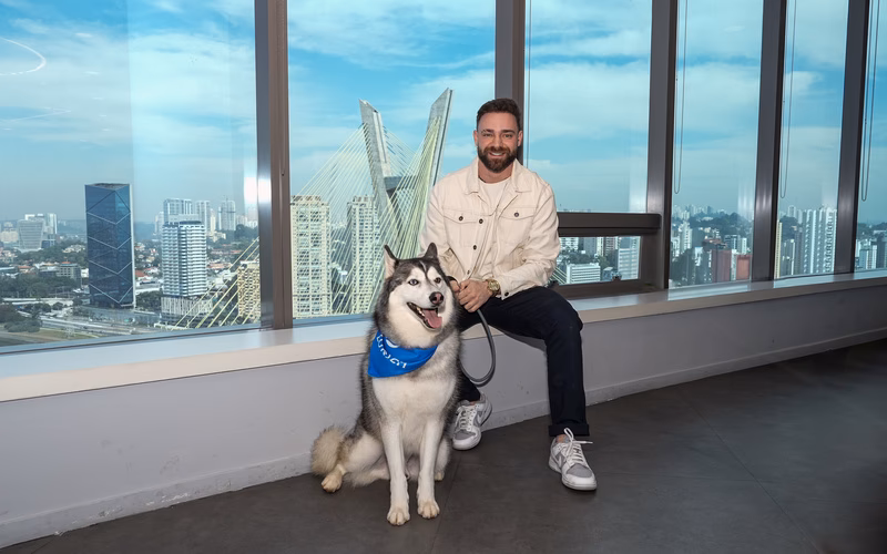 Como obter carta verde Zurich?