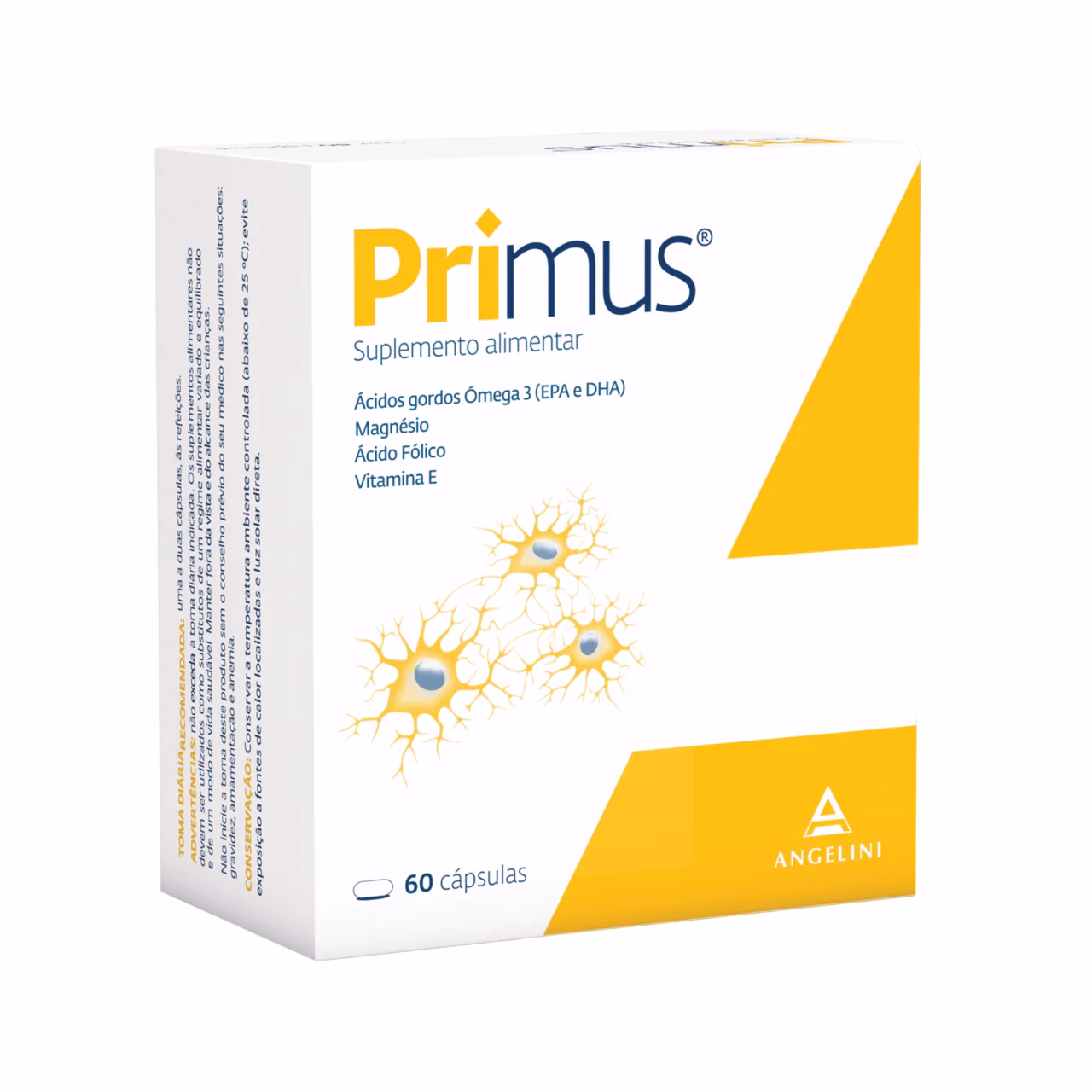 Quais são as melhores vitaminas para o cérebro?